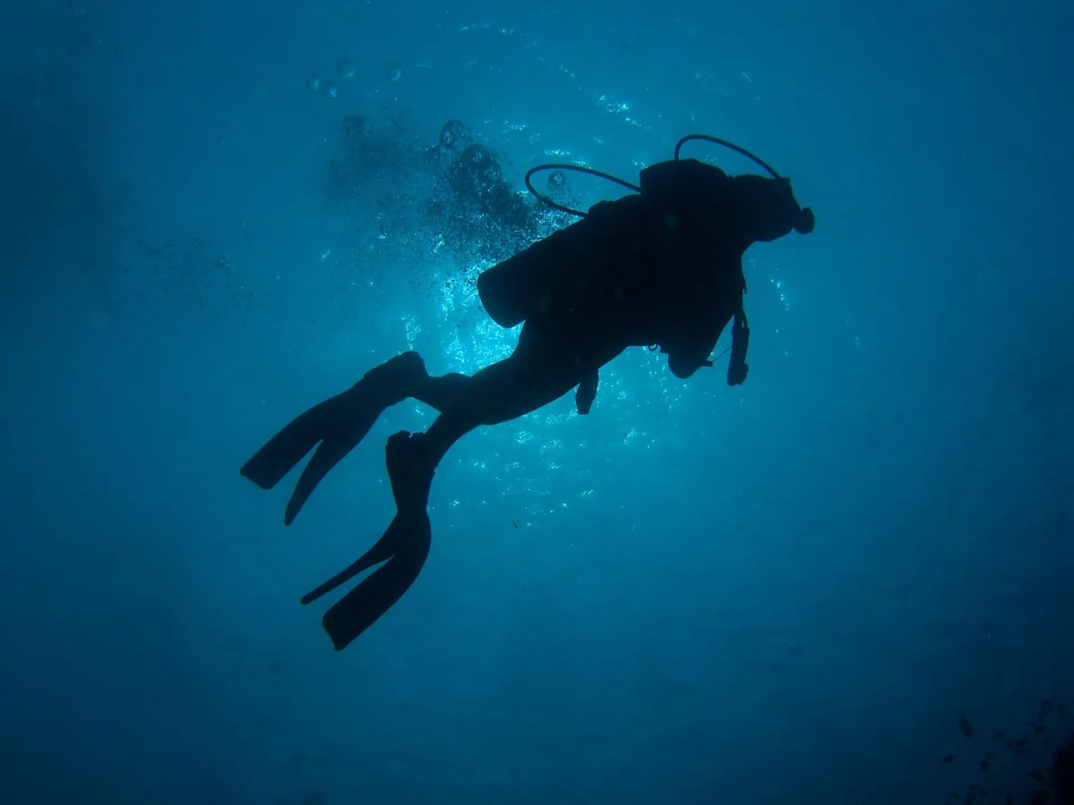 Silhouette of a scuba diver rising towards the surface in deep blue water off Apo Island, Philippines