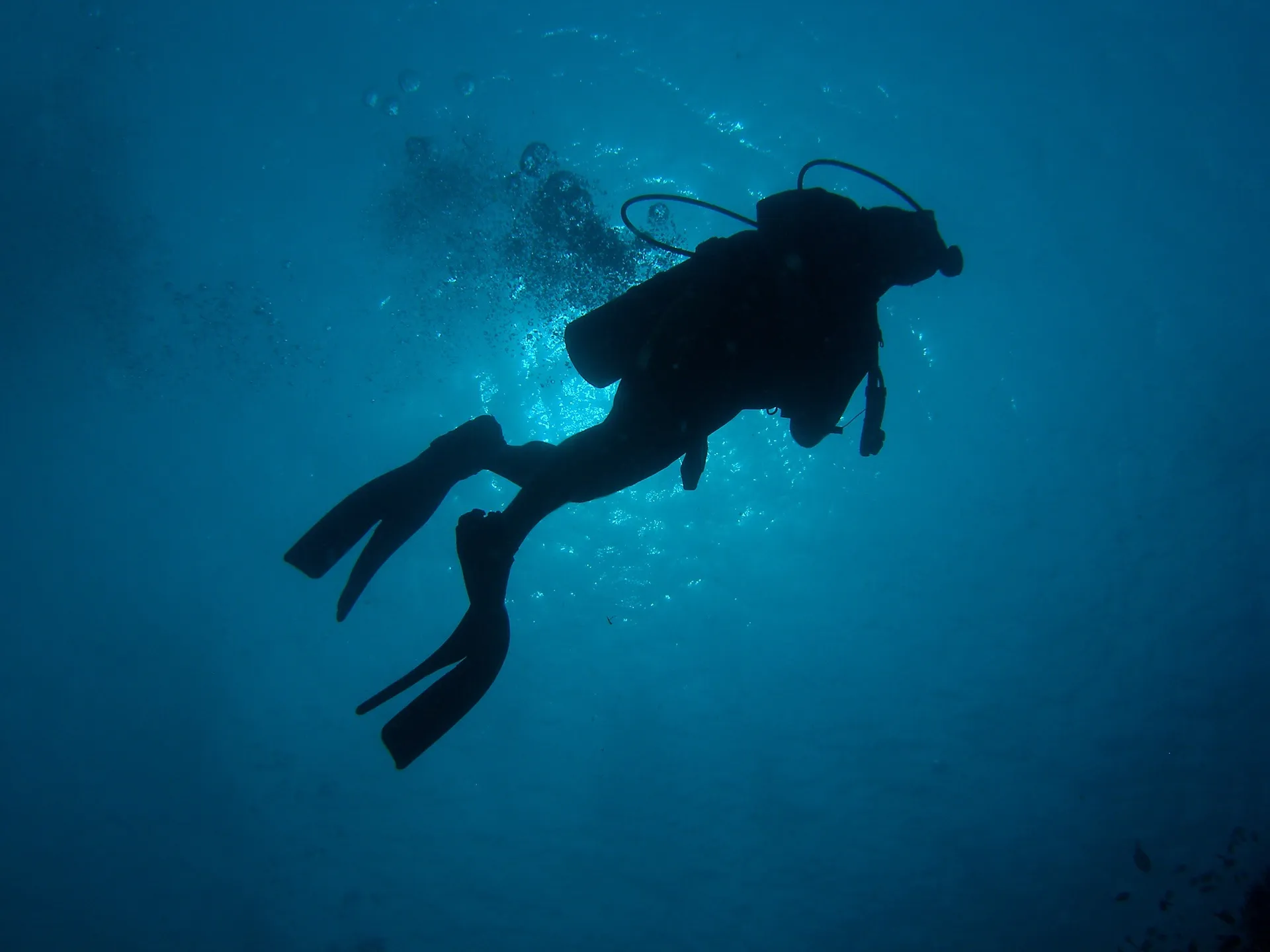 Skydiving After Scuba Diving in Palawan: The 24-Hour Rule